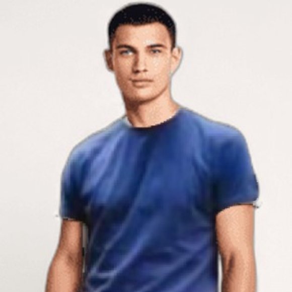 THE RAIL Slim Fit Crewneck T-Shirt Navy Size M - Picture 1 of 11